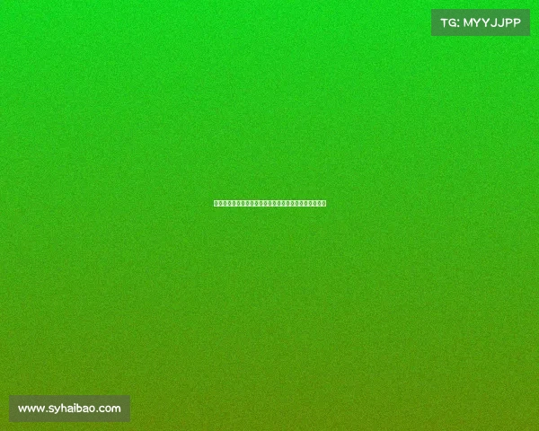 骑士队重振雄风：年轻球员崛起与战术革新引领未来辉煌